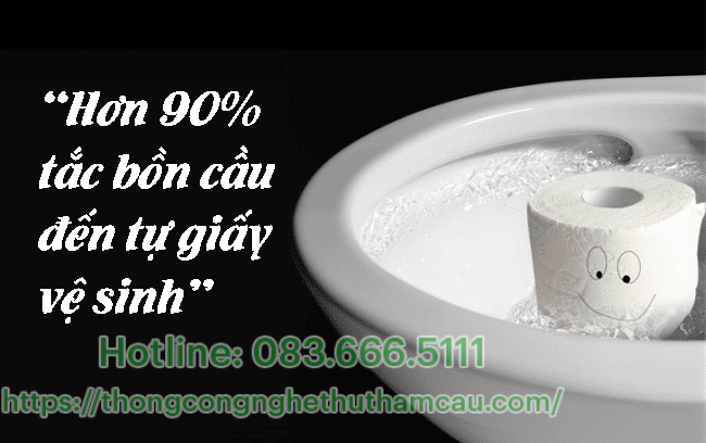 Sử dụng quá nhiều giấy vệ sinh