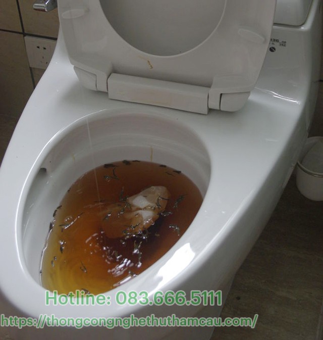 khi nào cần hút hầm cầu