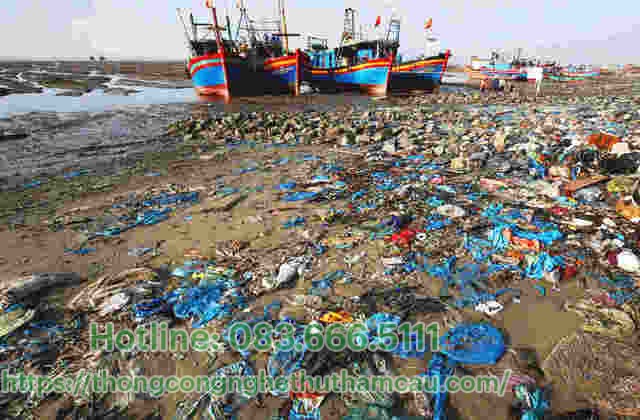 Hậu quả của ô nhiễm môi trường biển