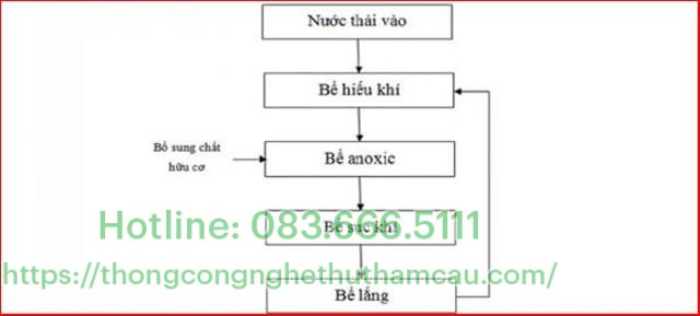 Vị trí bể Anoxic đặt sau bể aerotank