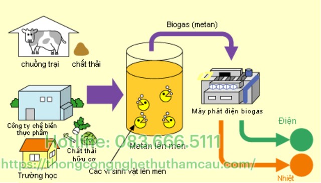 Cơ chế hình thành khí Biogas