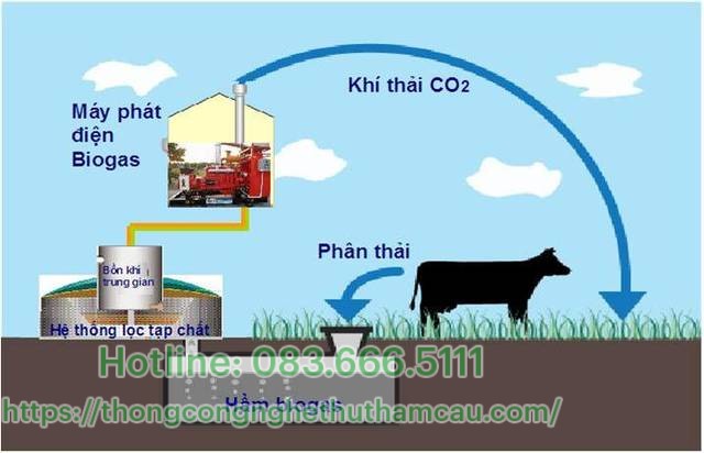 lợi ích khi xây dựng hầm biogas 