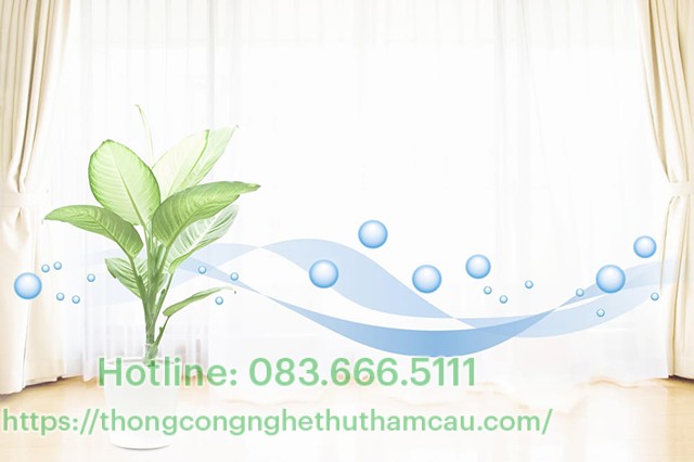 cách làm sạch không khí trong phòng 1