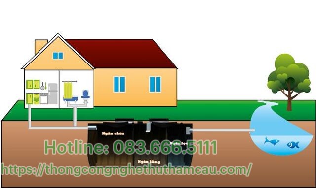 xử lý nước thải sinh hoạt bằng bể tự hoại